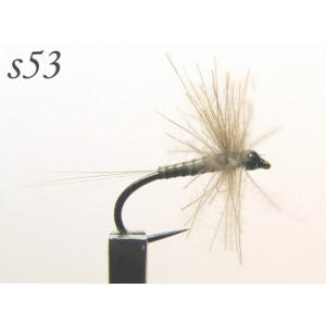 s053
