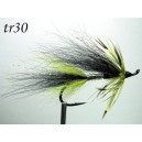 tr30