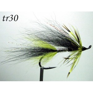 tr30