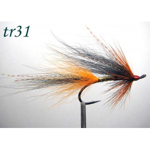 tr31