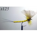 s125