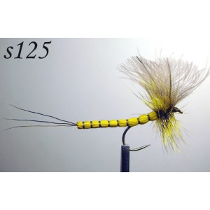 s125