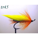 tr45