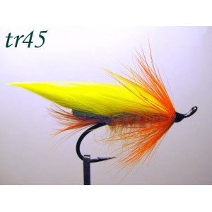 tr45