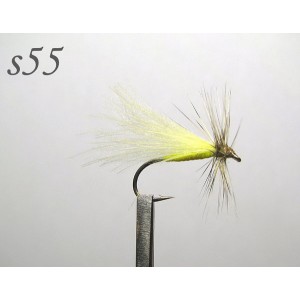 s055