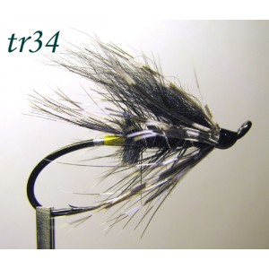tr34