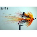tr35
