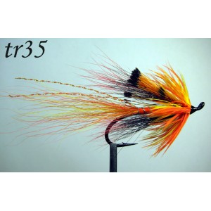 tr35