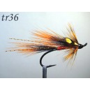 tr36
