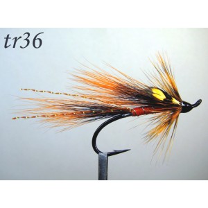 tr36