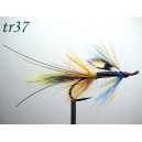 tr37