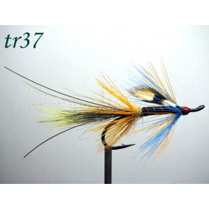 tr37