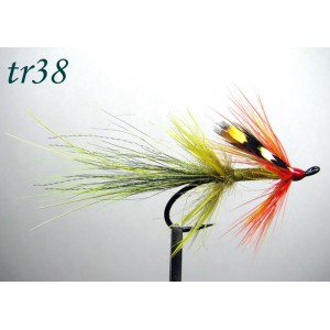 tr38