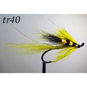 tr40