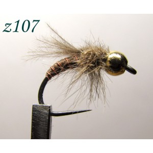 z107