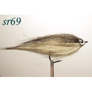 sr069