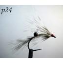 p24
