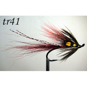 tr41
