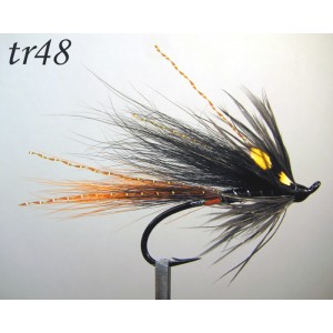 tr48