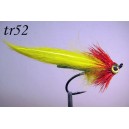 tr52