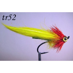 tr52