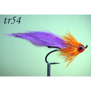 tr54