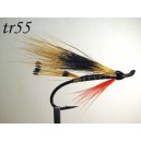 tr55