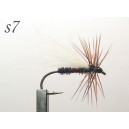 s007