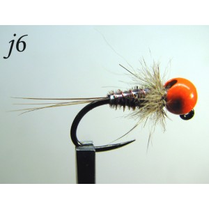 j006