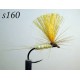 s160