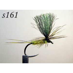 s161