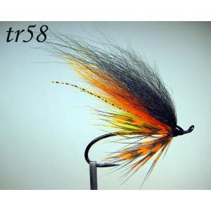 tr58
