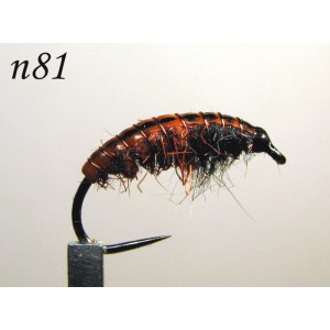 n081