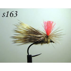 s163