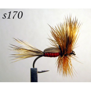 s170