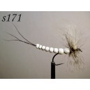 s171