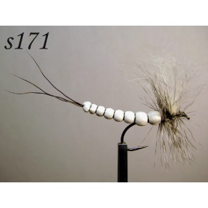s171