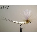 s172