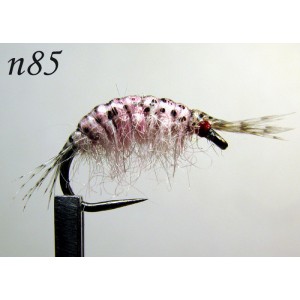 n085