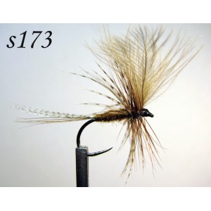 s173