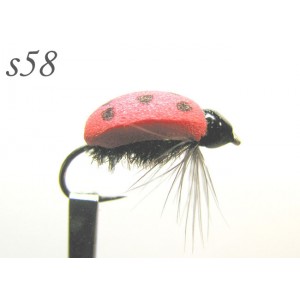 s058