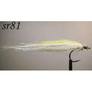 sr081