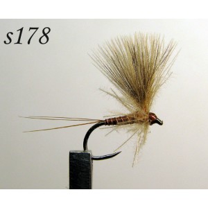 s178