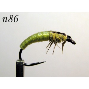 n086