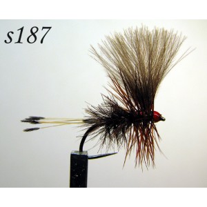 s187