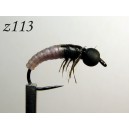 z113