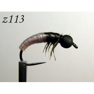 z113