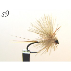 s009