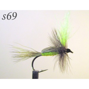 s069