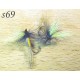 s069